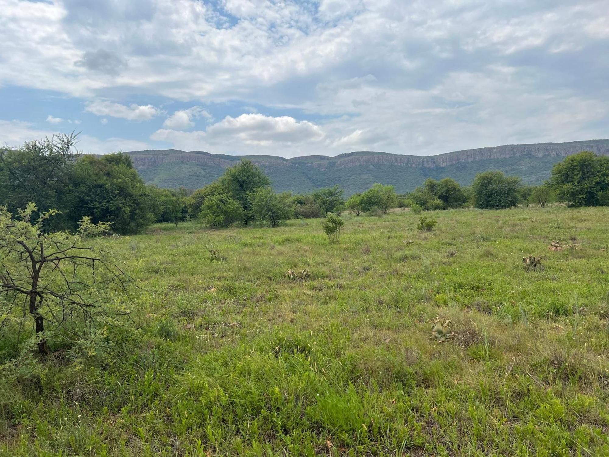 Damascus Bush Lodge Hartbeespoort Exteriér fotografie